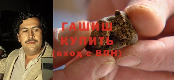 spice Богородицк