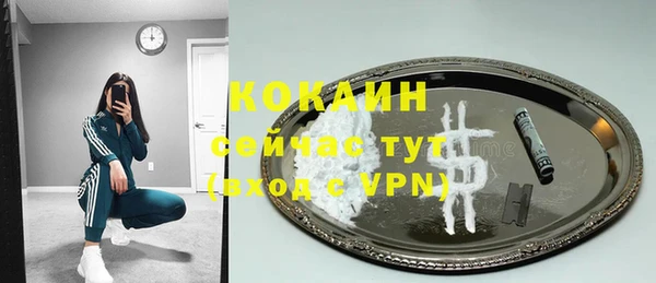 spice Богородицк