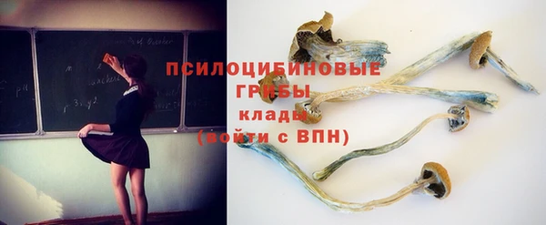 spice Богородицк