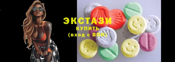 spice Богородицк
