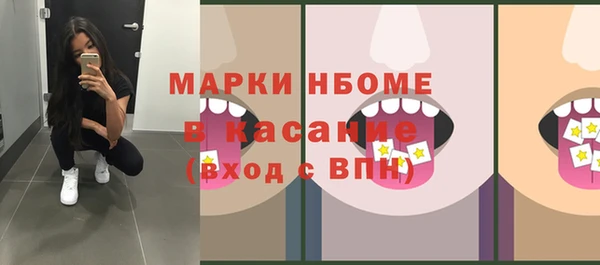 spice Богородицк