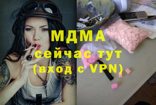 spice Богородицк