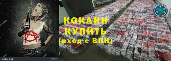 spice Богородицк