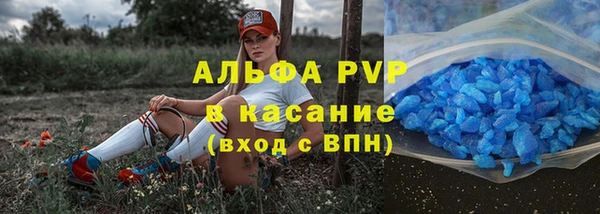 spice Богородицк