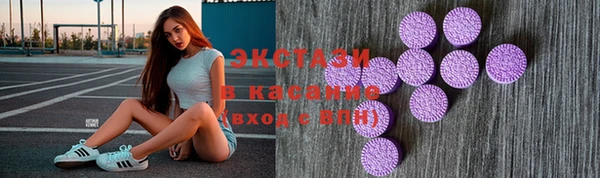 spice Богородицк