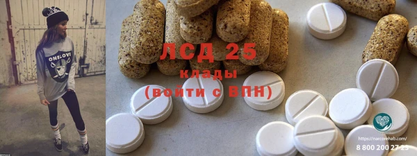 spice Богородицк