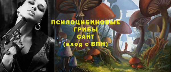 spice Богородицк
