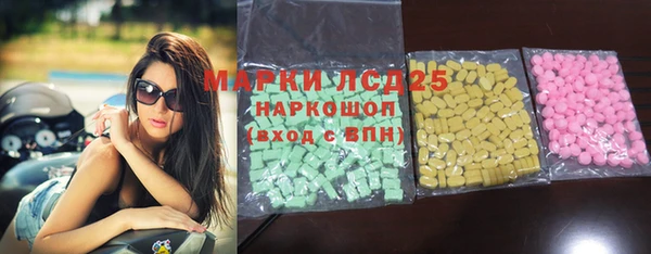 spice Богородицк