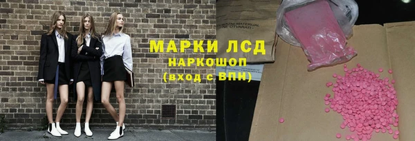 spice Богородицк
