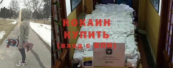 spice Богородицк