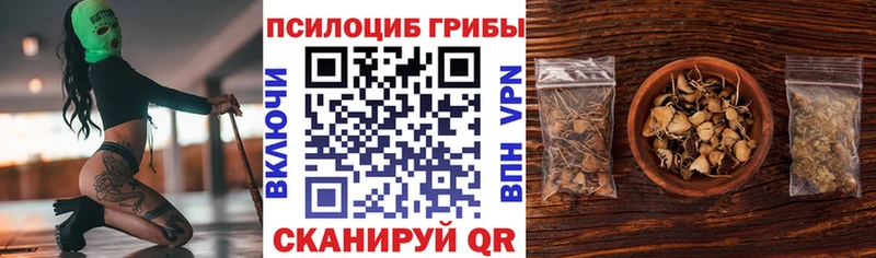хочу   Оренбург  Псилоцибиновые грибы ЛСД 